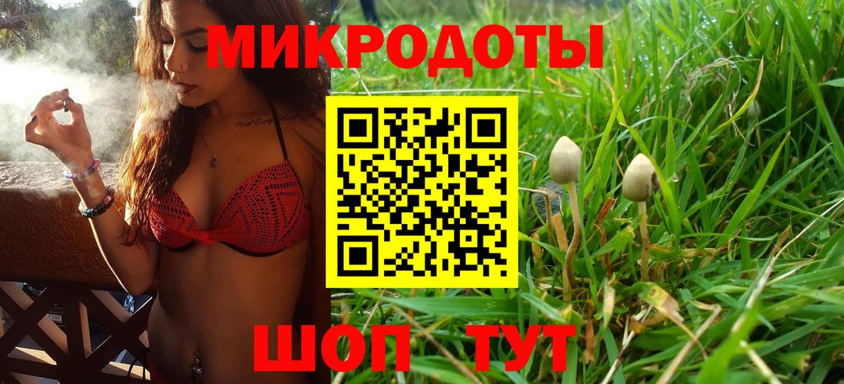 Псилоцибиновые грибы GOLDEN TEACHER  Вход с VPN  Ачхой-Мартан 