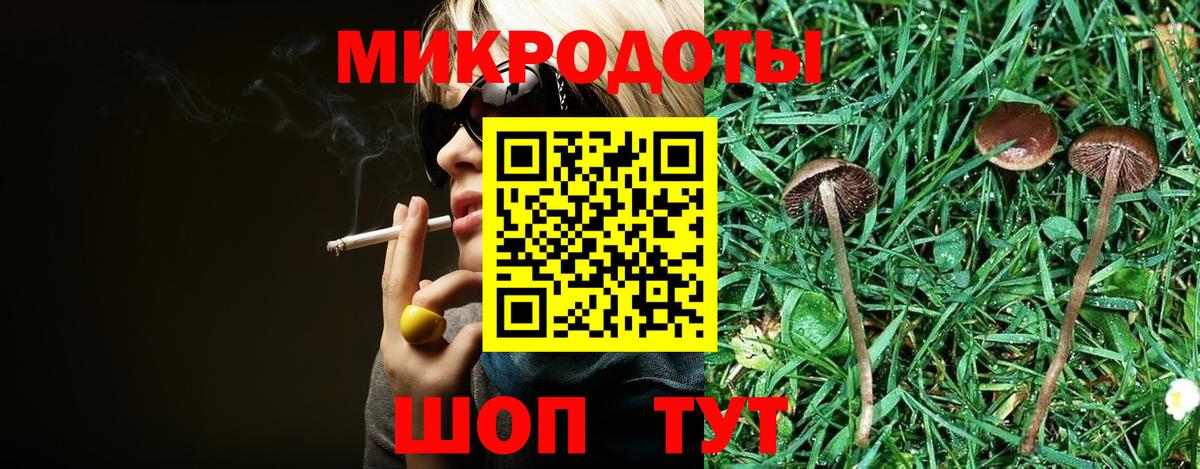 Псилоцибиновые грибы мухоморы Ачхой-Мартан